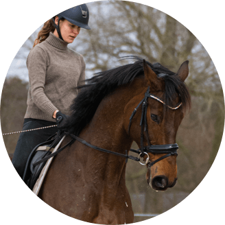 Voltis Handorf Sudmuehle derby community profil Voltis Handorf Sudmuehle derby community profil